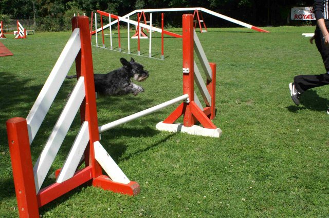 agility 2011-07-24